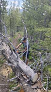 Quick Friday afternoon trip out to work the trails and do some running with Mac  Keller. We started at North Fork Meadow and worked