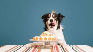 75 cute and creative bakery names the 20 best ideas for cute dessert names when you require remarkable concepts for this recipes, look no additionally than this listing of 20 ideal recipes to feed a group. 179 Cute Dessert Dog Names A Few Good Pets