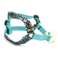 Personalize yours with your dog's name and / or phone number. Custom Personalized Dog Harnesses Design Your Own