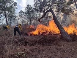 Se registra incendio en parte posterior del hospital de especialidades de portoviejo. Quiche Departamento Con Mas Hectareas Consumidas Por Incendios Conred