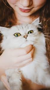 تشكيلة صور خلفيات رائعة للهواتف الذكية 160 خلفية مداد الجليد How Are You Feeling Self Love Self Care Activities