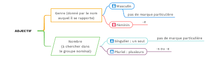 L'adjectif de couleur utilisé seul suit la règle générale des adjectifs et s'accorde en genre et en nombre avec le nom qu'il qualifie. L Accord Des Adjectifs De Couleur Exercice 1 Cours2francais