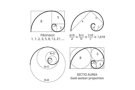 Golden ratio in design | designmantic: How To Use The Golden Ratio In Graphic Design By The Logo Creative Medium