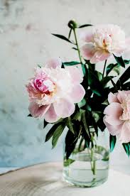 Check spelling or type a new query. Die Pfingstrose Bluht Und Plotzlich Ist Der Fruhling Da Yvonne Willicks