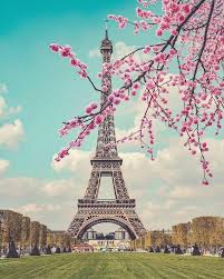 إذا كنت تبحث عن أجمل صور باريس و خلفيات برج إيفل قم بتنزيل تطبيق واستمتع بالجمال النقي على شاشة هاتفك خلفيات خلفيات باريس باريس 2019 برج إيفل برج إيفل 2019. ØµÙˆØ± Ø¨Ø±Ø¬ Ø§ÙŠÙÙ„ Ø¨Ø§Ø±ÙŠØ³ 2019 For Android Apk Download
