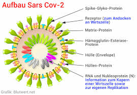 Die bausteine der rna sind die die bausteine der dna sind die ①. Viren Virus Aufbau Arten Erkrankungen Schutz