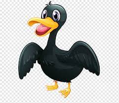Dihalaman ini anda akan melihat gambar hitam putih itik yang menarik! Platypus Bebek Burung Pekin Amerika Bebek Hitam Rambut Hitam Hewan Hitam Putih Png Pngwing