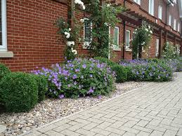 Except for mowing the grass, or using the front door, the front garden goes largely ignored. Nancy Rodgers Garden Designer Low Maintenance Front Garden