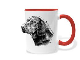 Image result for alpský brakýř jezevčíkovitý