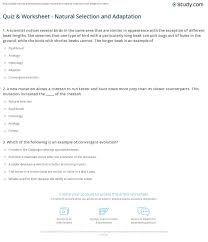 What rabbit will natural selection select against? Quiz Worksheet Natural Selection And Adaptation Study Com