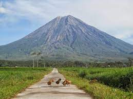 13,873 likes · 3 talking about this. Mount Semeru East Java Indonesia Pemandangan Gunung Berapi Gunung