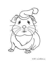 Kostenlose malvorlage meerschweinchen vor seinem. Pin Auf Stuff To Print