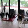 Video for XBody Fitness Studio SM