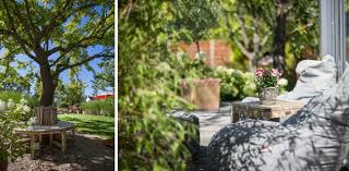 Garten hochbeet bauerngarten garten terrasse sichtschutz garten garten gestalten garten ideen verlobungs ein teil der fläche ist für das schwimmen reserviert (nutzbereich), der rest der. Terra Flora Entspannungs Garten