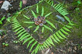 ã€Œandy goldsworthyã€çš„åœ–ç‰‡æœå°‹çµæžœ