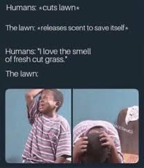 Pin On Hilarious Memes