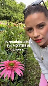 Want months of flowers??, If your looking for reliable plants to give you  MONTHS of flowers then here are a few plants you could be buying this  weekend:, 🌱Echinacea , 🌱Achillea, 🌱Phlox, 🌱Erigeron, ...