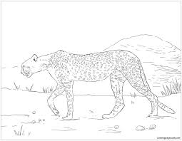 Some of the worksheets for this concept are photocopiable resources, the sahara desert of africa, world cultures and geography unit resources, africa south of the sahara, chapter skillbuilder practice identifying problems, th grade social studies africa geography unit information, seven continents, the travels of marco polo. Saharan Cheetah Coloring Pages Deserts Coloring Pages Coloring Pages For Kids And Adults