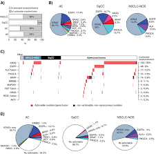 Mesothelioma may be particularly well suited for gene therapy treatment owing to its accessibility at least four gene therapy trials have been carried out in mesothelioma patients, using different vector. Integration Of Actionable Mutations And Gene Fusions In The Consecutive Download Scientific Diagram