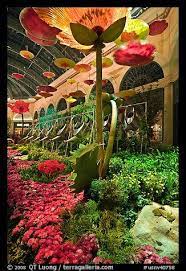 Pin By Cheryl Hood On Travel Magazine Beautiful Places Las Vegas Hotels Vegas Fun
