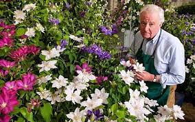 We did not find results for: About Clematis Grower Raymond Evison