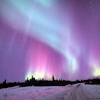 Selain itu peringatan tsunami juga dikeluarkan di sebagian alaska yakni di alaska selatan dan semenanjung alaska. 1