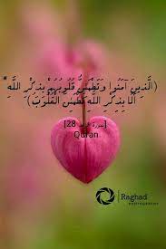 الا بذكر ﷲ تطمئن القلوب arabic quotes quran quran verses