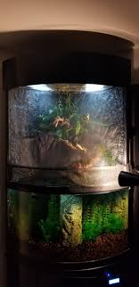Paludarium Complete Care Guide How To Build Bantam Earth Animals Tank Household Plants Aquascape Aquarium