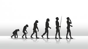 Evolution Of Modern Humans Stories Yourgenome Org