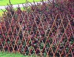Garden Fence Ideas Fencedesignpictures Home Depot Decoration
