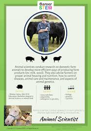 Middle School Stem Career Exploration Activities Explore Stem Careers 100 Online Animal Scientists Career Exploration Activities Career Exploration