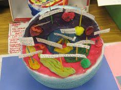 Maybe you would like to learn more about one of these? 18 School Projects Ideas Animal Cell Project Cells Project Animal Cell