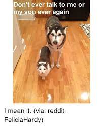 Don T Ever Talk To Me Or My Son Ever Again I Mean It Via Reddit Feliciahardy Meme On Me Me
