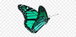 We did not find results for: Butterfly Tumblr Transparent Transparent Background Butterfly Gif Free Transparent Png Clipart Images Download