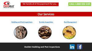 They will zero in on any potentially expensive problems or, fingers crossed, provide a concise report that shows. Building And Pest Inspection Across Brisbane Southside