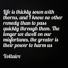 Voltaire Quotable Quotes