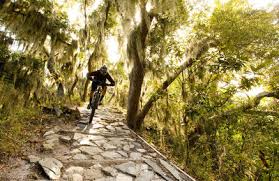 Maybe you would like to learn more about one of these? Mountain Bike Trails Near Northern Florida