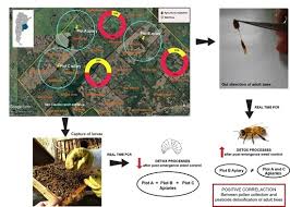 Ultrasonic electronic pest and insect repellent devices claim that their high frequency. Insects Free Full Text Evaluating The Impact Of Post Emergence Weed Control In Honeybee Colonies Located In Different Agricultural Surroundings Html
