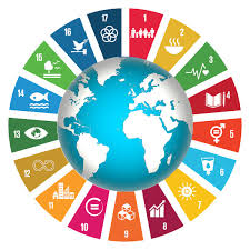 In july of 2019, the city of los angeles published its first voluntary local review, highlighting eight goals while mapping the city's efforts across all seventeen global goals. Sdg Bne Lernort Plattform Bene Munchen E V