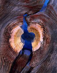 Illustrated throughout by striking landscape photography by the author, it is, however, the words that. David Ward Hindsight On Landscape