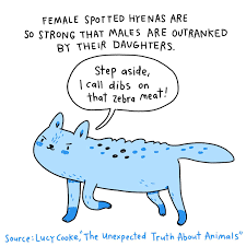 Built by trivia lovers for trivia lovers, this free online trivia game will test your ability to separate fact from fiction. 8 Intriguing Facts About Female Animals From Octopuses Eating Their Mates To Lionesses Ruling The Pride The Lily
