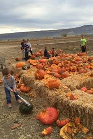 We Found The Best Pumpkin Farms To Visit This Fall Pumpkin Patch Farm Pumpkin Farm Pumpkin Patch
