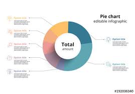 colorful pie chart infographic 1 buy this stock template