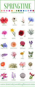 They have a long and golden yellowish colour. Wedding Trends 2018 Ultraviolet Flowers And More Spring Seasonal Flowers How To Diy Wedding Flowers 2018 Spring Flowers Names Seasonal Flowers Flower Guide