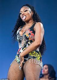 Megan keeps her body looking. Megan Thee Stallion Zieht Bei Lollapalooza Ein Publikum In Einem Tanga Trikot Aus Upcycling Band T Shirts An Germanic Nachrichten