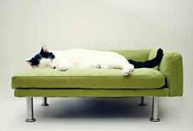 Maybe you would like to learn more about one of these? Mid Century Modern Cat Bed Pasteurinstituteindia Com