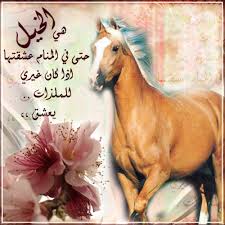 عبارات عن حب الابناء إقرأ أفضل كلمات عن حب الآباء للأبناء كلمات عن الابن الغالي Alaylalayl