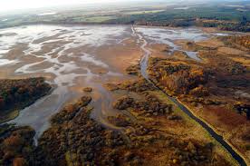 Přehledně, bez reklam, kontakt na majitele. Co Stoji Za Spinavou Vodou Ceskych Rybniku Ekolist Cz