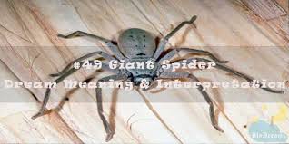 The main facts will trigger the more evasive details in memory. 49 Giant Spider Dream Meaning Interpretation