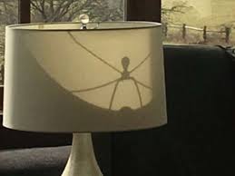 5 фраз в 2 тематиках. 15 Unfreiwillig Gruselige Bilder Bei Denen Du Erstmal Genauer Hinsehen Musst